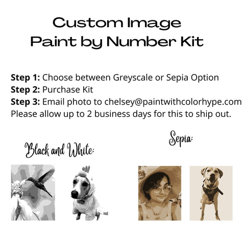 8x10 CUSTOM Image Paint by Number Kit